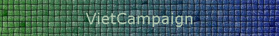 VietCampaign