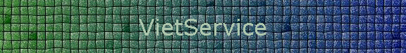 VietService