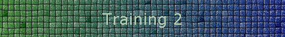 Training 2