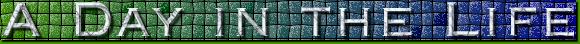 DayintheLifebanner.jpg (11382 bytes)