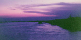 Ambush04.jpg (8755 bytes)