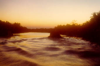 Ambush07.jpg (13016 bytes)