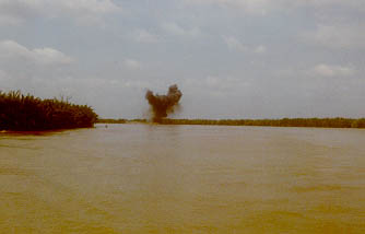 Ambush10.jpg (9213 bytes)