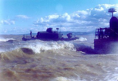 mare12.jpg (26326 bytes)