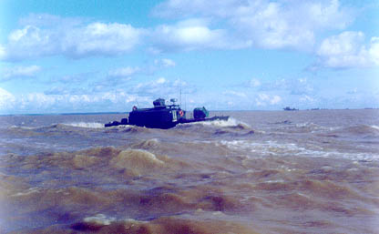 mare13.jpg (21511 bytes)