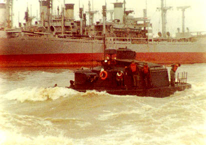 mare16.jpg (32495 bytes)