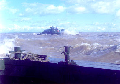 mare18.jpg (20259 bytes)