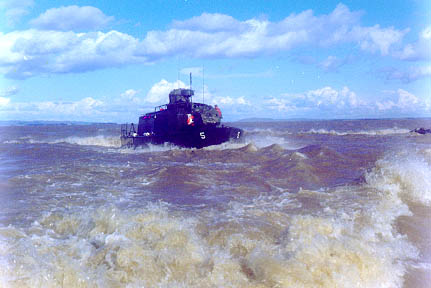 mare19.jpg (29101 bytes)